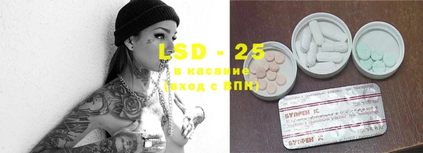 сатива Козловка