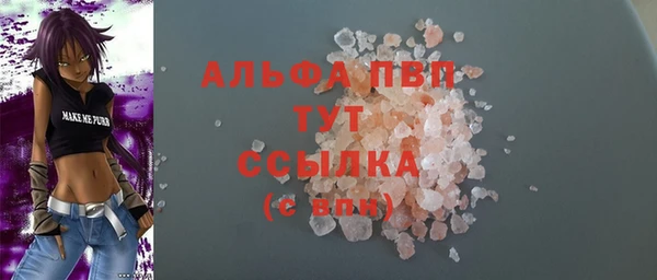 сатива Козловка