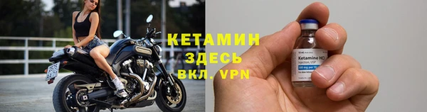 сатива Козловка