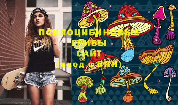 сатива Козловка