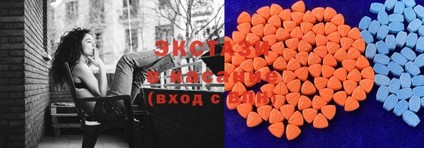 сатива Козловка