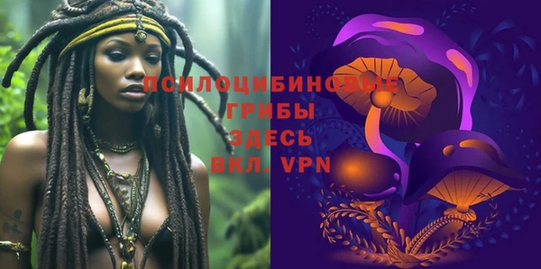 сатива Козловка