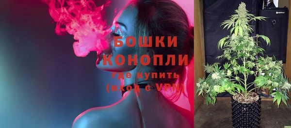 дживик Коряжма
