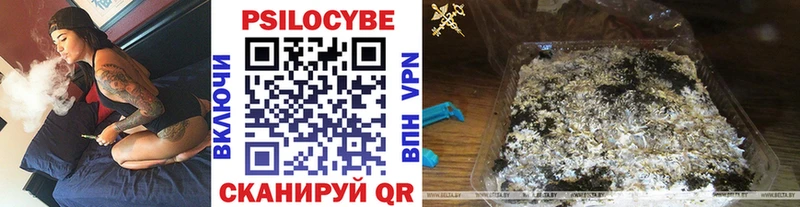 Псилоцибиновые грибы мухоморы  Купить  Верхотурье 