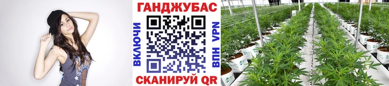 Купить где  Верхотурье  Каннабис план 